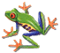frog.gif (5012 octets)